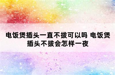 电饭煲插头一直不拔可以吗 电饭煲插头不拔会怎样一夜